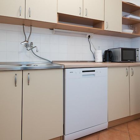 Apartment Mihaela Blace Kültér fotó
