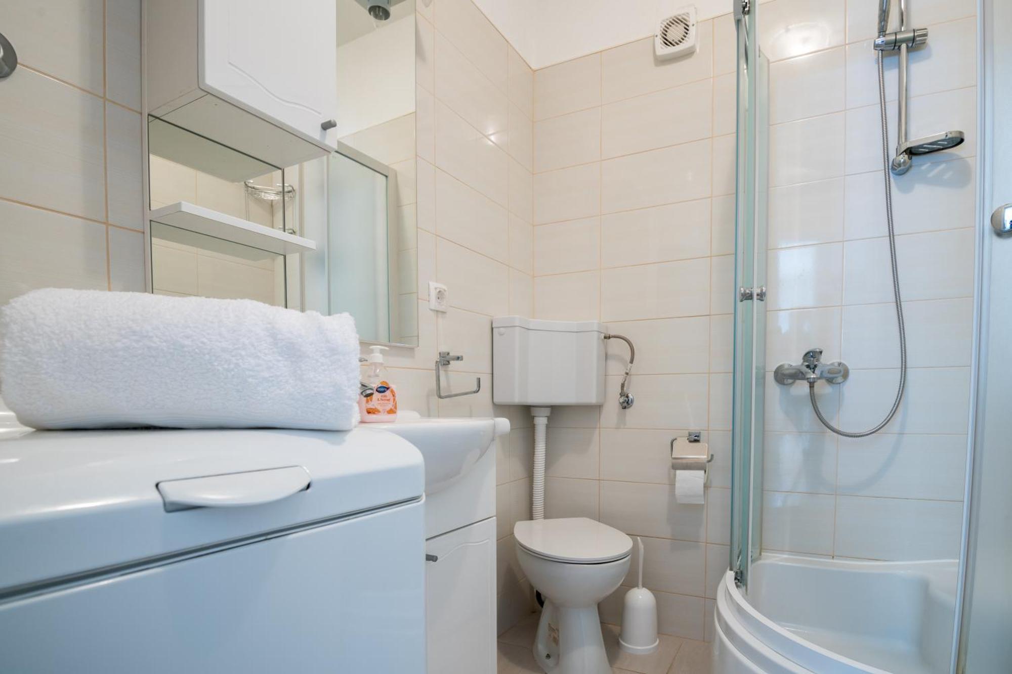 Apartment Mihaela Blace Kültér fotó