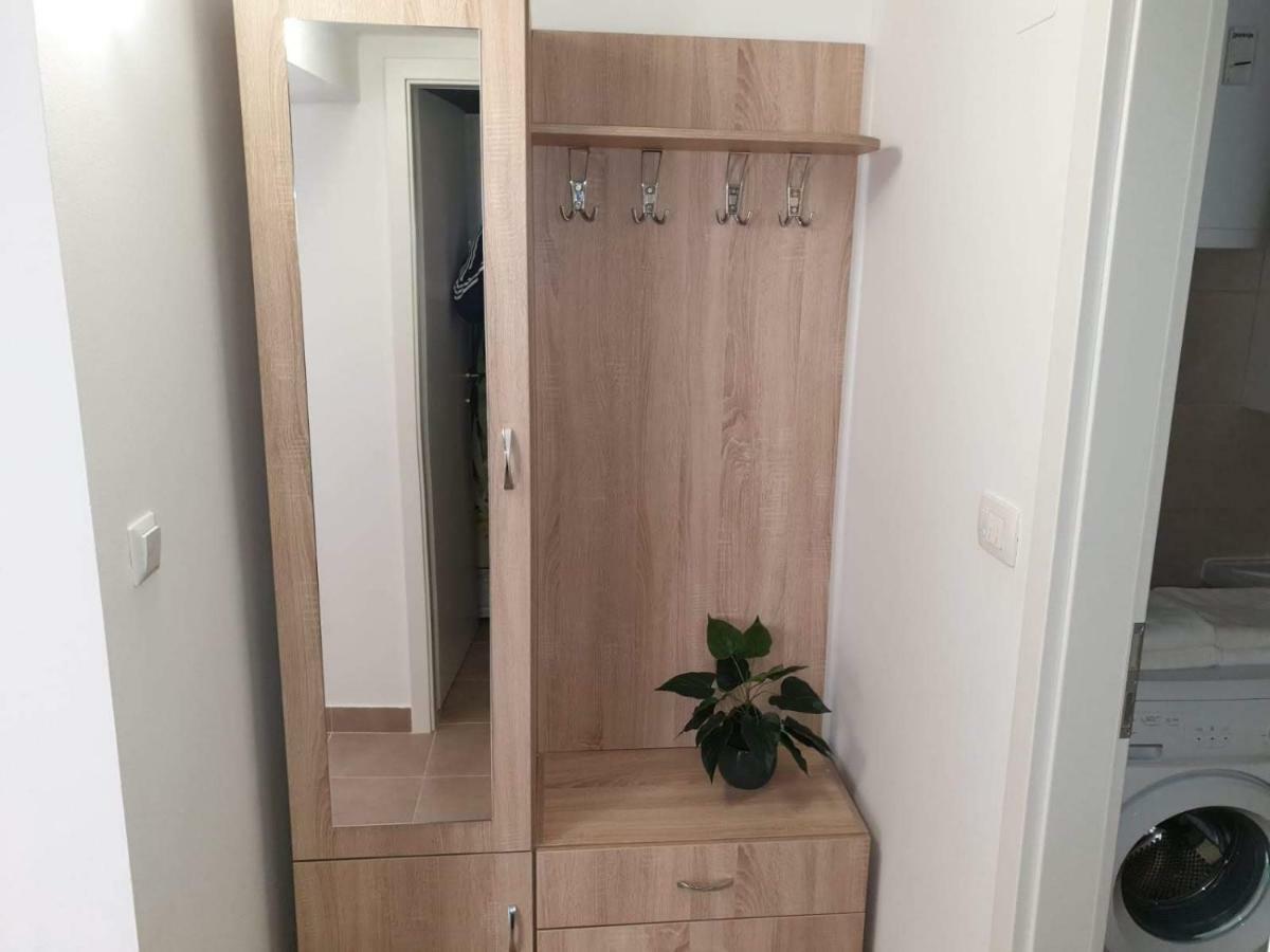 Apartment Mihaela Blace Kültér fotó